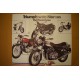 Poster, Triumph with Norton "The Powerchoice"